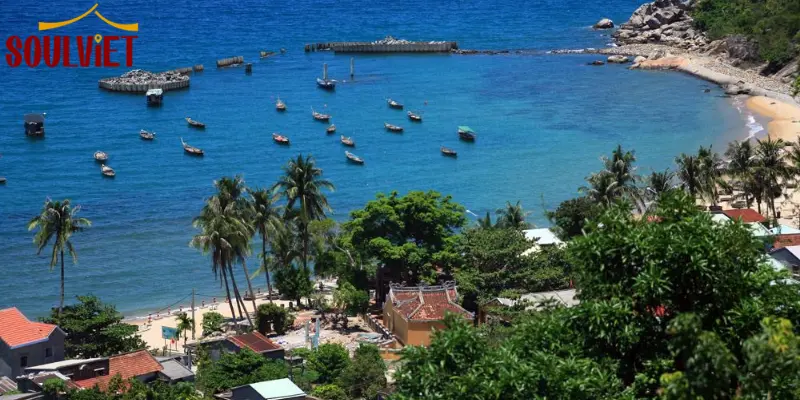 How to Book Cu Lao Cham Tickets Quickly via Soul Viet