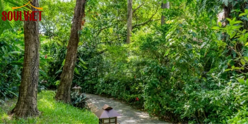 Tropical Forest – Tech-Savvy, Youth-Oriented, Modern