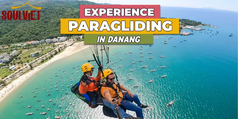 Tam Phat Travel – Top Safety & Professional Management